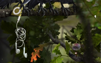 AntVentor Screenshot AntVentor Screenshot